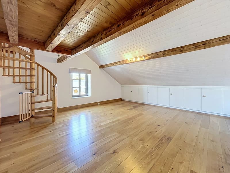 Appartement de charme sous les toits ? Au coeur du Vieux Meyrin (11)