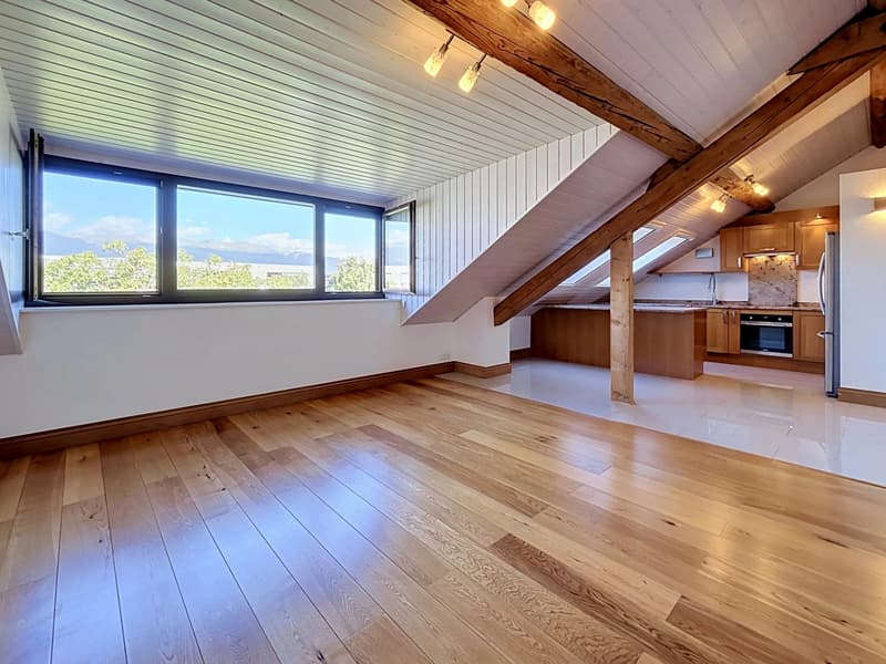 Appartement de charme sous les toits ? Au coeur du Vieux Meyrin (8)
