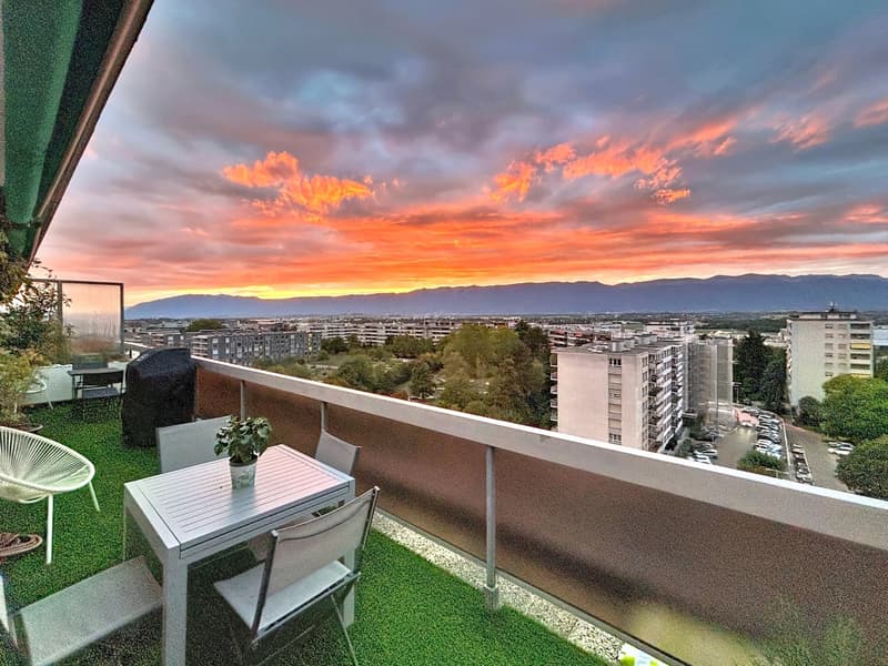 Attique-penthouse exceptionnel avec terrasse de 25 m² (1)