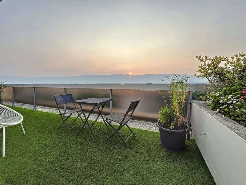 Attique-penthouse exceptionnel avec terrasse de 25 m² (2)