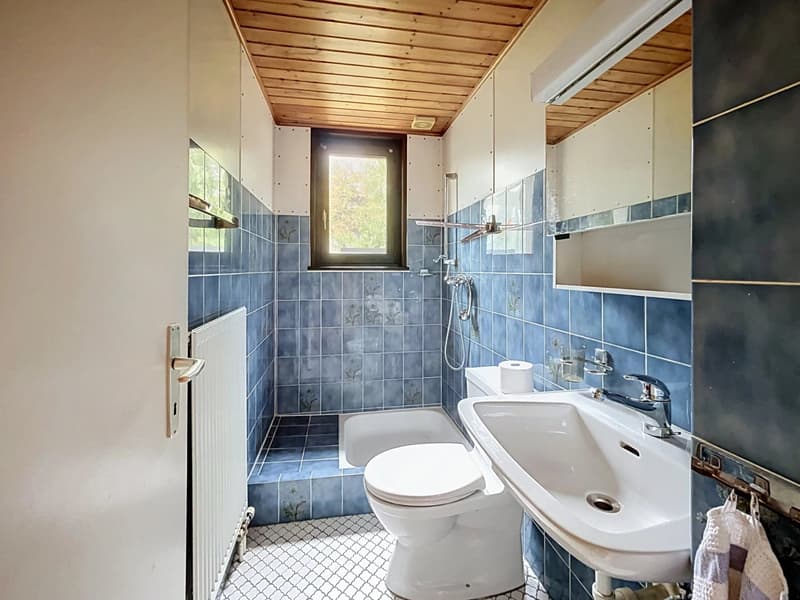 Vente - Maison individuelle Genthod (12)