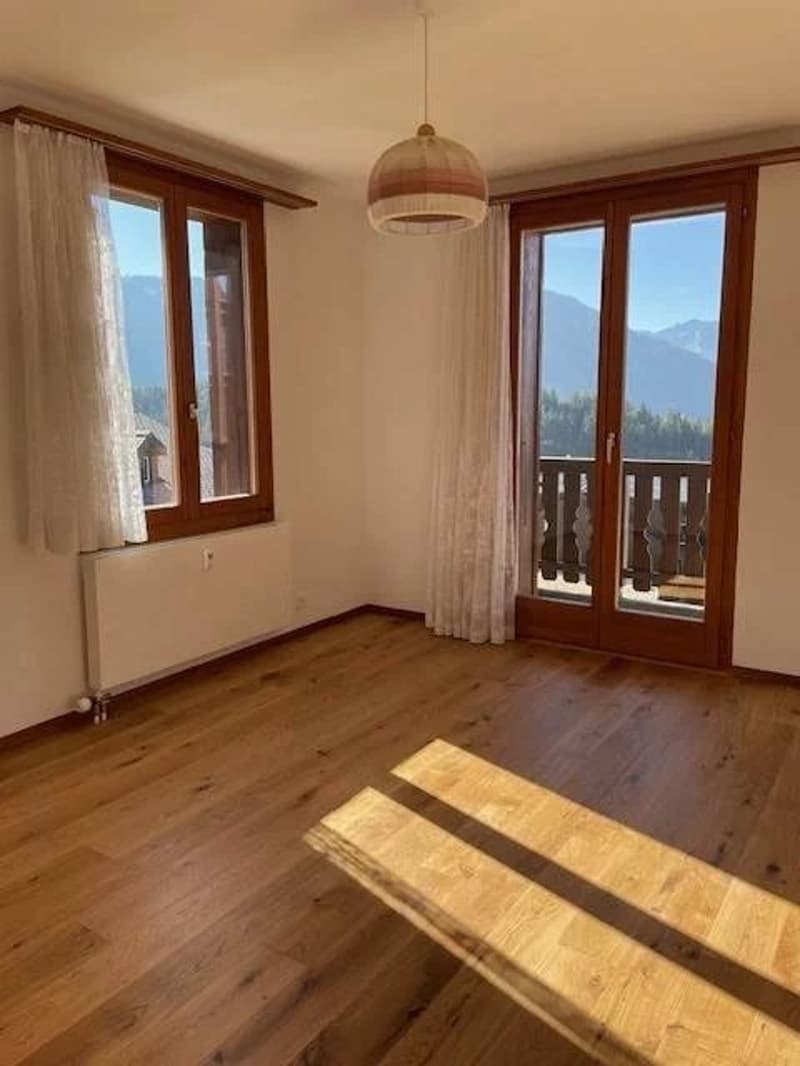 A vendre charmant immeuble de rendement au centre du village (2)