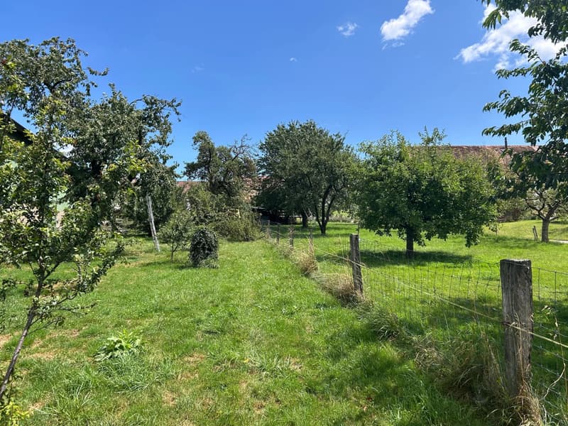 Charmante maison située à seulement 5 minutes d'Yverdon (3)