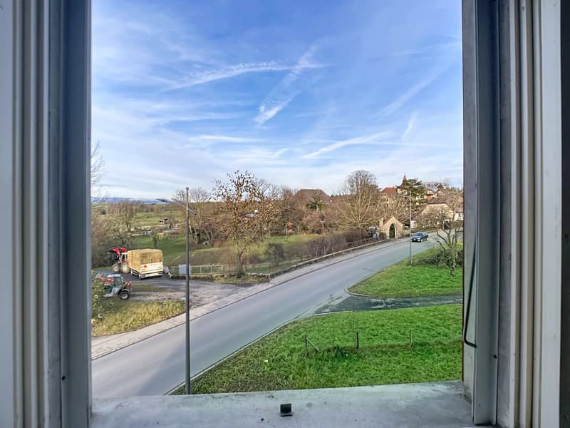 Ferme du 19ème siècle à rénover (9)