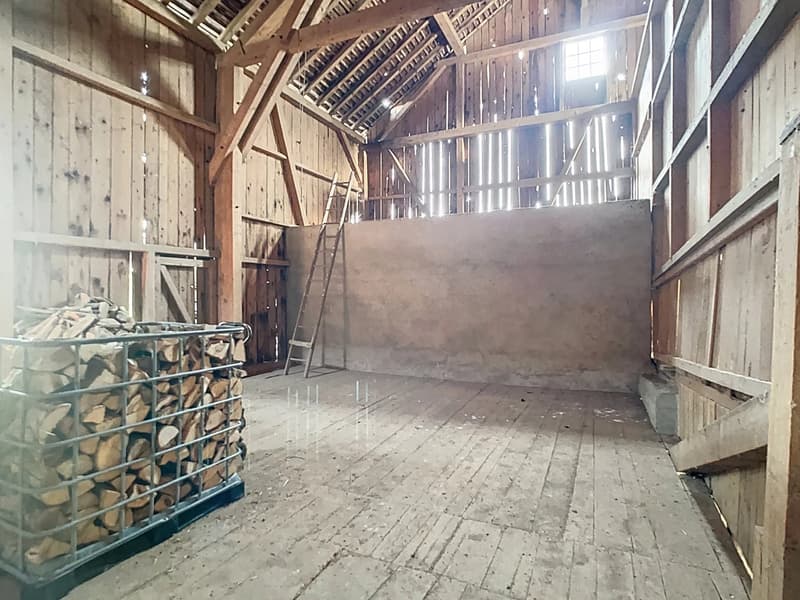 Ferme du 19ème siècle à rénover (8)