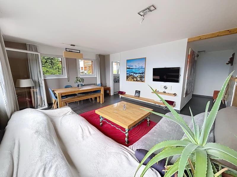 Appartement lumineux avec vue panoramique (3)