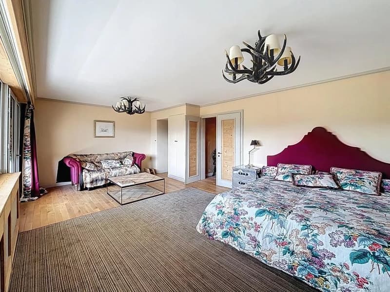 Attique d'exception, possibilté de faire 2 appartements (3)