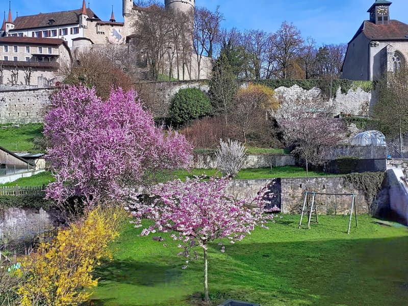 Vente - Maison Lucens (2)