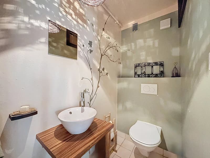 Vente - Maison Lucens (12)