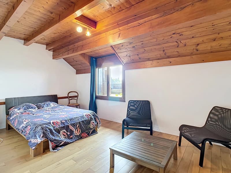 Maison rénovée avec immense jardin (6)