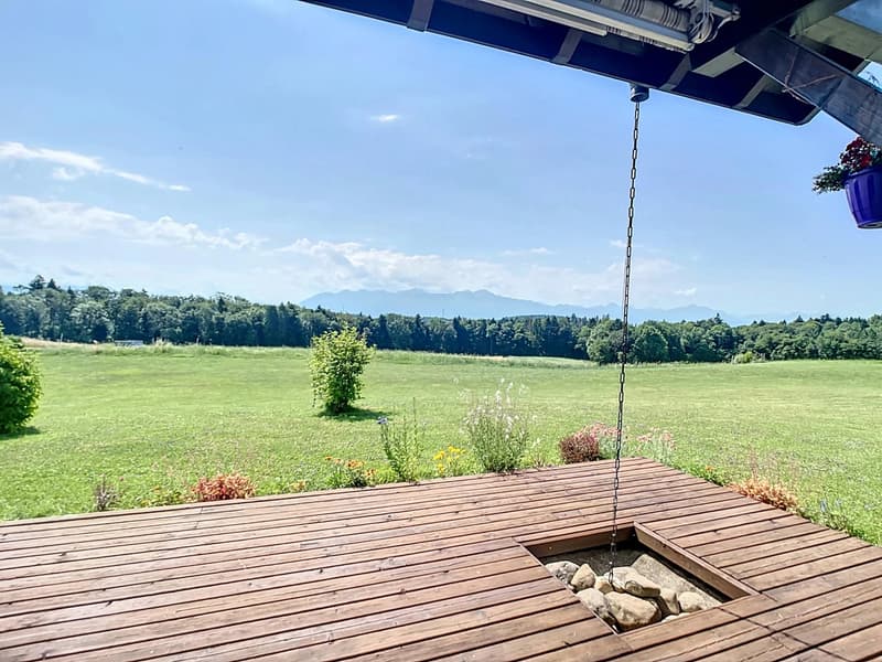 Maison rénovée avec immense jardin (3)