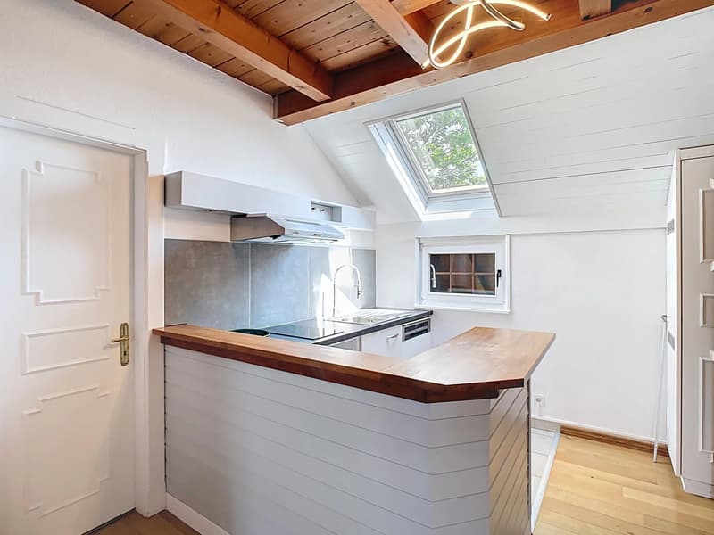 Maison rénovée avec immense jardin (10)