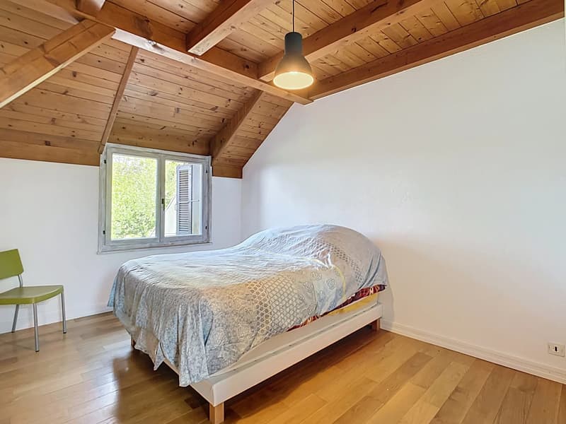 Maison rénovée avec immense jardin (9)