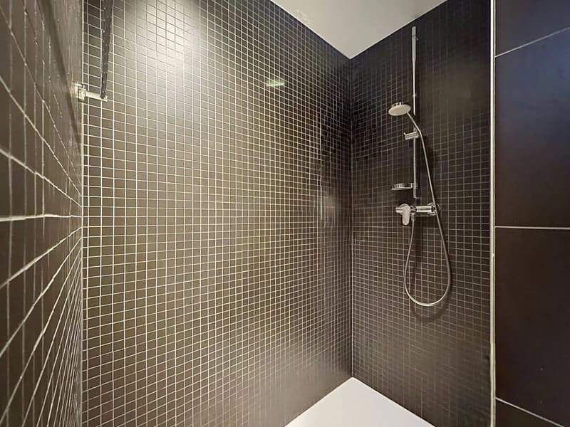 Vente - Appartement Pully (7)