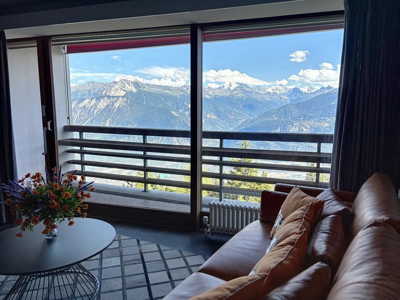 Deux magnifiques appartements de standing reliés avec une vue panoramique sur les Alpes (8)