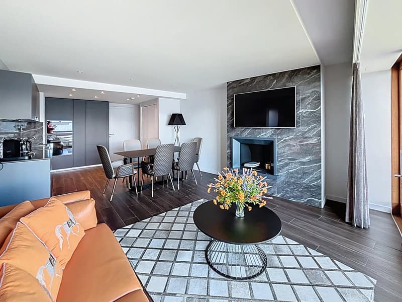 Deux magnifiques appartements de standing reliés avec une vue panoramique sur les Alpes (9)