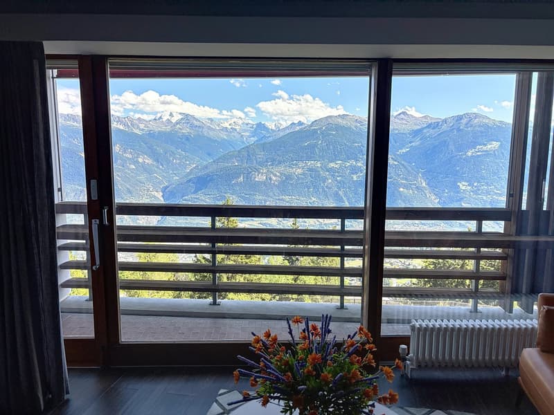 Deux magnifiques appartements de standing reliés avec une vue panoramique sur les Alpes (11)