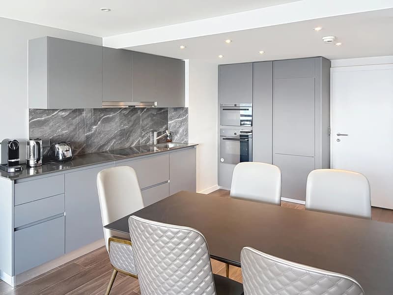 Deux magnifiques appartements de standing reliés avec une vue panoramique sur les Alpes (13)