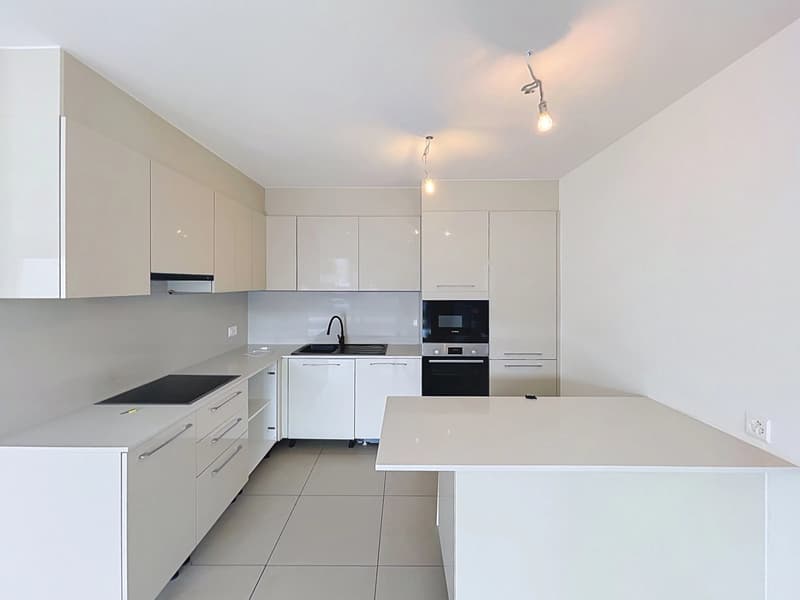 Spacieuse villa de 5.5 pièces avec terrasse et jardin (4)