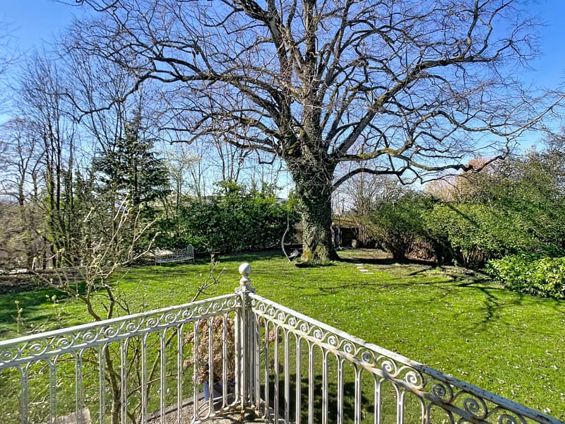 Villa prestigieuse avec piscine (9)