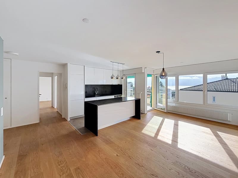 Bel appartement de 3.5 entièrement rénové avec terrasse plein sud (2)