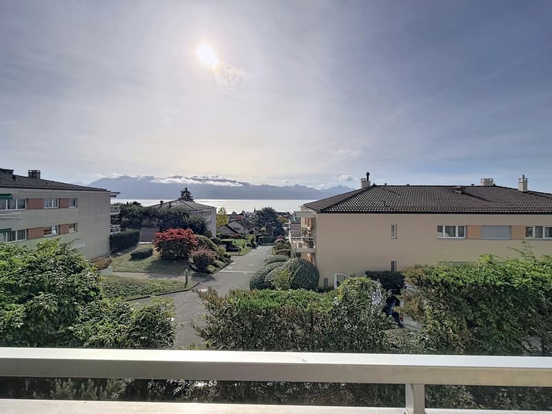 Bel appartement de 3.5 entièrement rénové avec terrasse plein sud (1)
