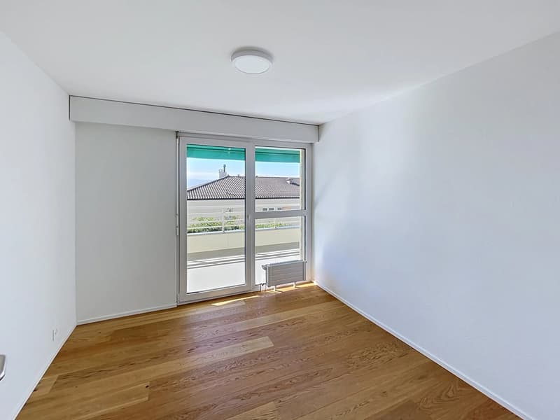 Bel appartement de 3.5 entièrement rénové avec terrasse plein sud (4)