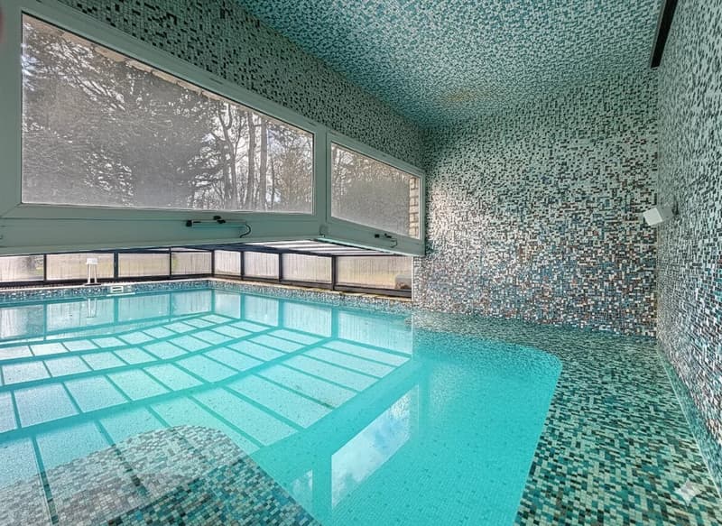 Propriété contemporaine de 600 m² avec vue panoramique sur le lac (13)