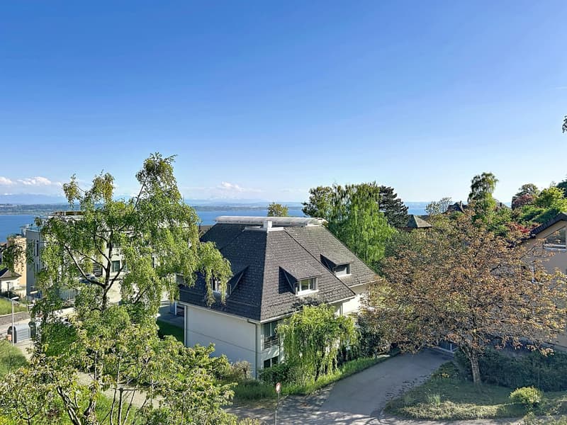 Villa individuelle dans les hauteurs de Neuchâtel, vue lac et alpes (2)