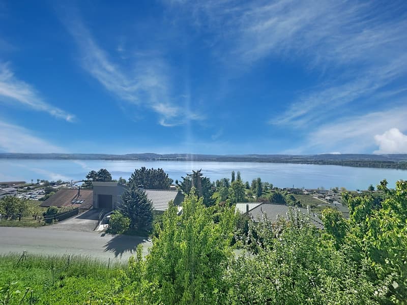 Villa avec vue imprenable sur le lac de Morat (2)