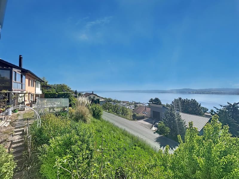 Villa avec vue imprenable sur le lac de Morat (3)