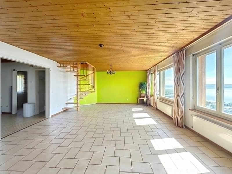 Villa avec vue imprenable sur le lac de Morat (10)