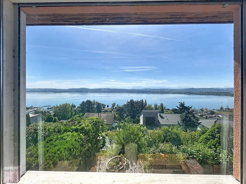 Villa avec vue imprenable sur le lac de Morat (4)