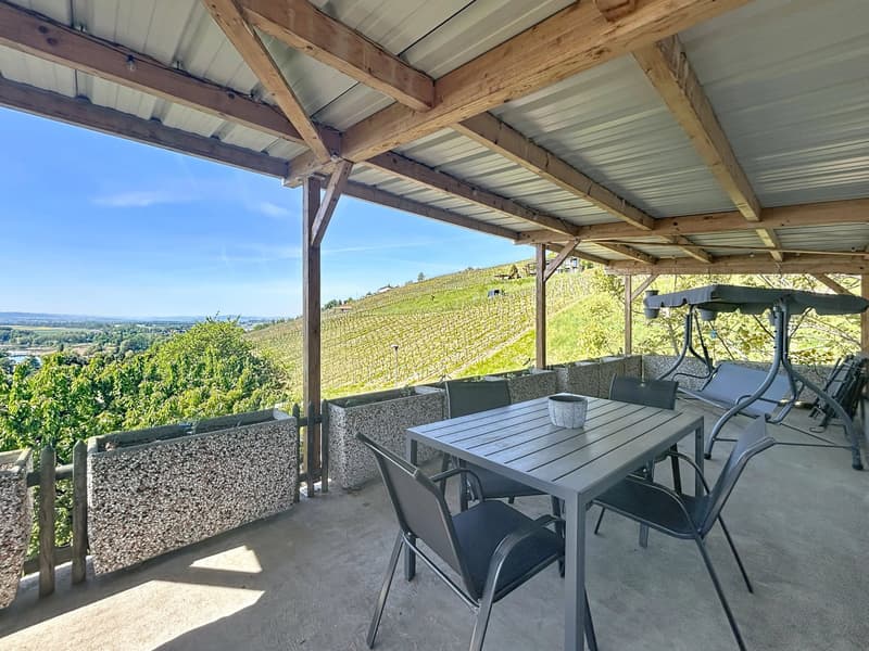 Villa avec vue imprenable sur le lac de Morat (6)