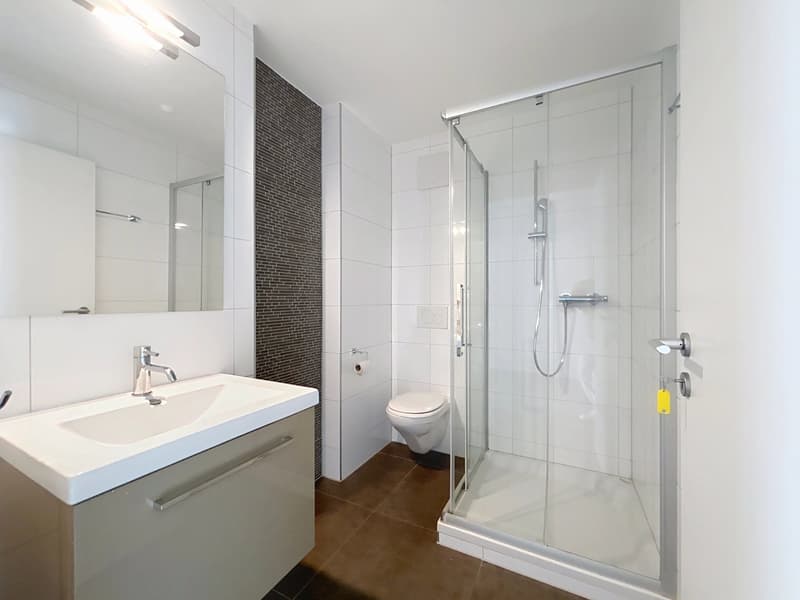 Spacieux duplex de 5.5 pièces, à deux pas du lac (5)