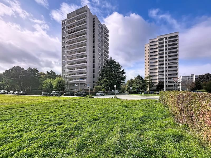 Avec vue (12)