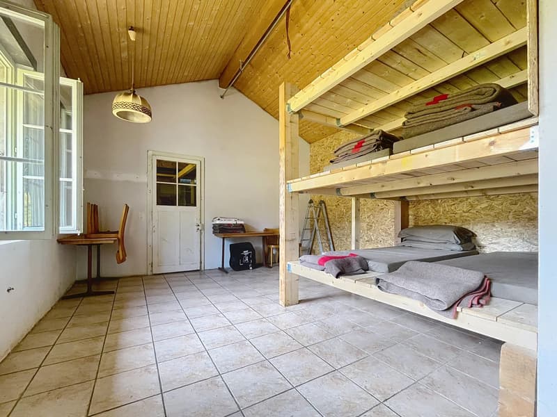 Chalet d'alpage en DDP (6)