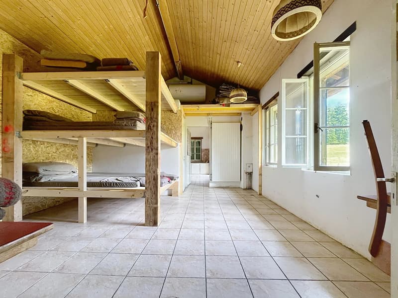 Chalet d'alpage en DDP (7)