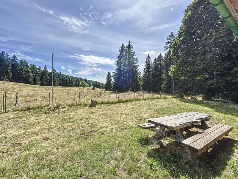 Chalet d'alpage en DDP (8)