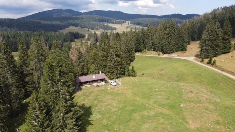 Chalet d'alpage en DDP (11)