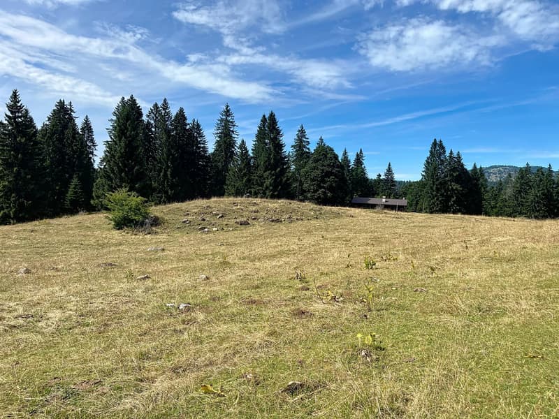 Chalet d'alpage en DDP (9)