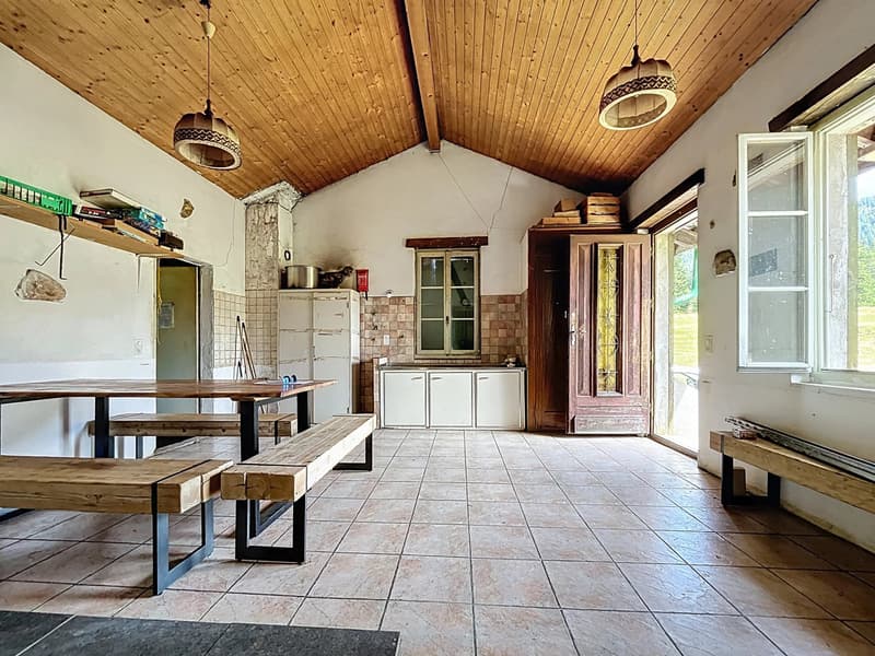 Chalet d'alpage en DDP (2)