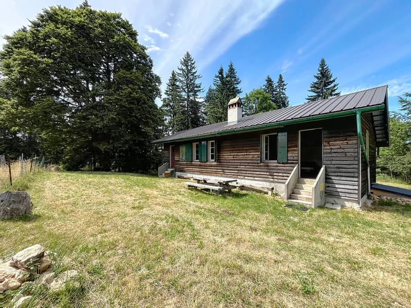 Chalet d'alpage en DDP (3)