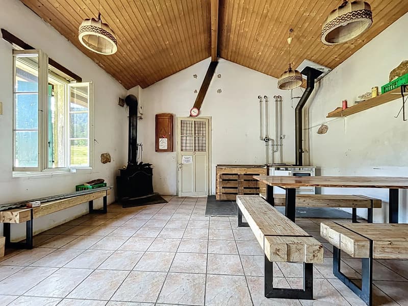 Chalet d'alpage en DDP (5)