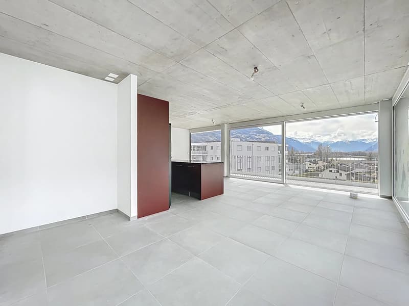 Attique lumineux avec vaste balcon (4)