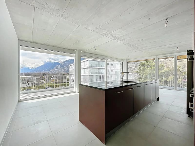 Attique lumineux avec vaste balcon (3)