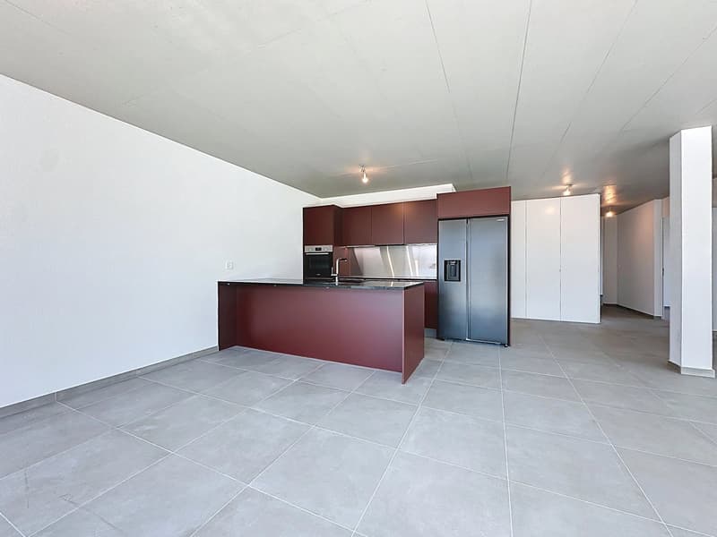Attique lumineux aux prestations exclusives (3)