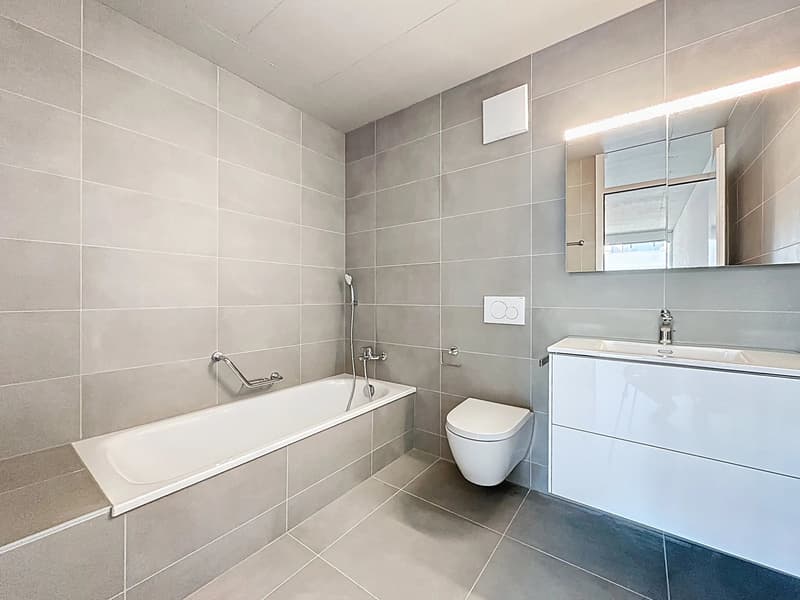 Attique lumineux aux prestations exclusives (10)