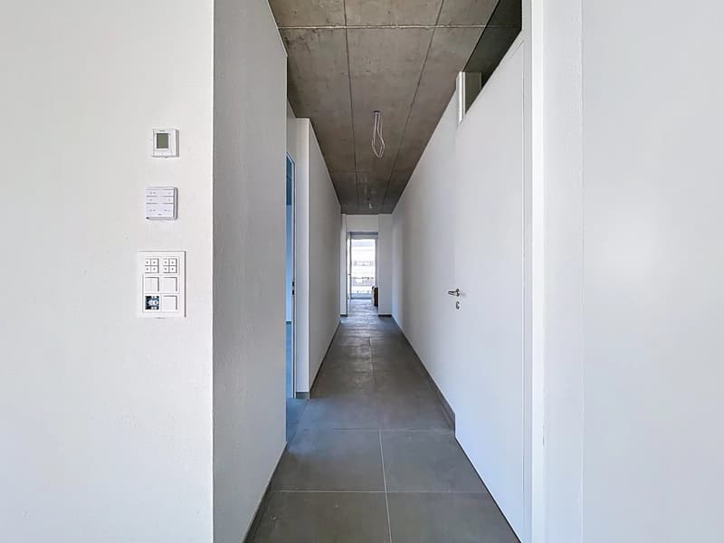 Attique d'exception et terrasse panoramique (5)