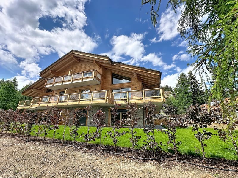 Duplex d'exception au charme alpin (3)